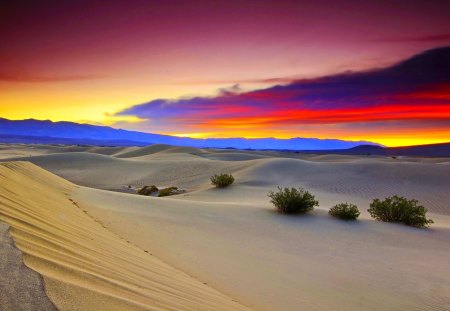 DESERT at DUSK - desert, sunset, sand, evening