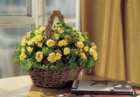 basket of yellow roses - leaves, books, basket, flowers