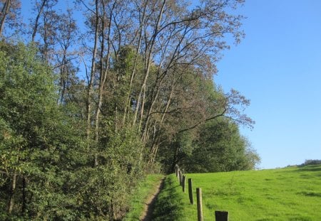 Countryside - forests, nature, sky, fields