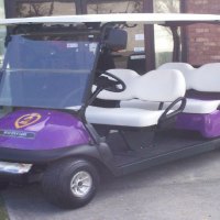 Custom built purple Heart golf car