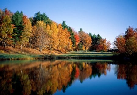 autumn reflection - trees, water, reflection, seasonal