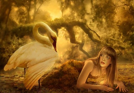 Golden Swan Princess - lady, beautiful, swan, princess, egg, golden, forest