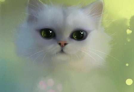 White_Fluff_Wallpaper - cat, white, green eyes, pet