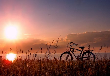 Biking at sunrise - calm, biking, summer, grass, sunrise, light, reflection, bike, red, lake, sky, sun, sunlight, water, beautiful, morning, lakeshore, glow, river, nature, sunset, rays, bicycle, shine