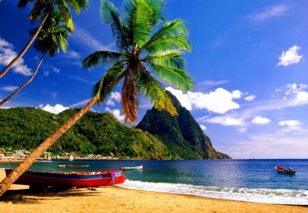 Tropical paradise - nice, sky, beach, tropics, paradise, water, colorful, coast, reflection, clouds, holiday, relax, sands, palm trees, ocean, boats, palms, summer, tropical, shore, lovely, waves, nature, beautiful, rest, sea