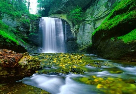 Bella cascada - calm, falling, summer, beautiful, falls, stream, bella, forest, stones, fall, nature, waterfall, waters, rocks