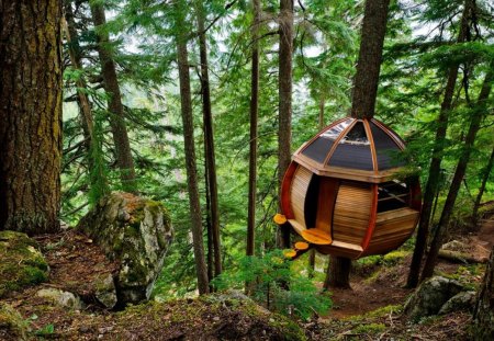 Tree House. - nice, of, a, very