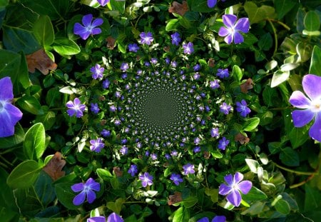 The magic of flowers - fractals, blue, green, violets, flowers