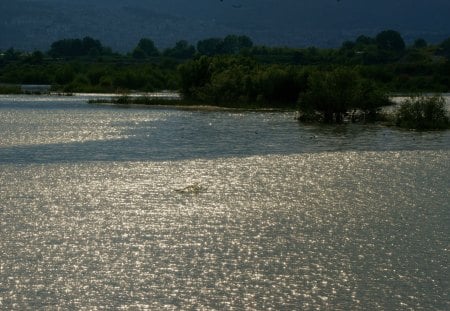 Sparkling river - greece, wallpaper, photo, wall, waters, country, pic, sparkling, light, picture, river, image, trees, nature, photographer