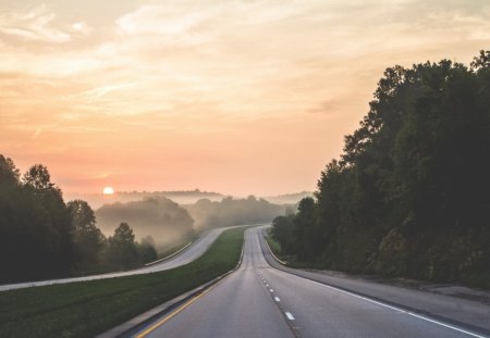 Road fog sun - fog, road, mist, sun