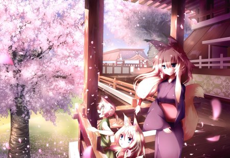 Cherry Blossom - kids, anime, female, cherry blossom, fox, girl, petals