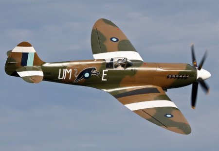 Spitfire_mk_XIX - sky, brown, white stripes, wings