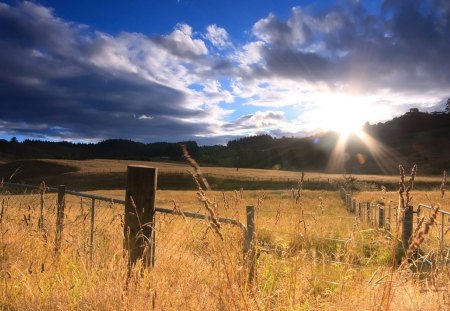 beautiful field of gold in the sun - fields, fence, sunlight, clouds