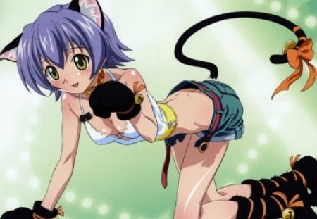 Ako Izumi - anime, neko, mahou sensei negima, ako izumi, ears, tail, paws, cat, negima, other