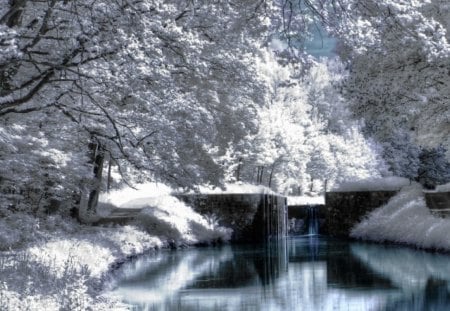 winter landscape - trees, water, reflection, snow