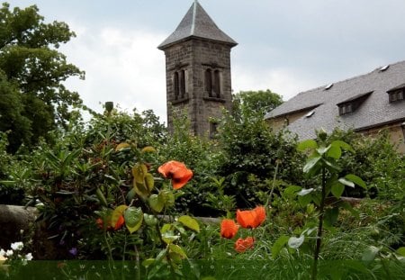 Koenigstein-Fortress---View-From-Central-Garden - fortress, flowers, trees, leaves