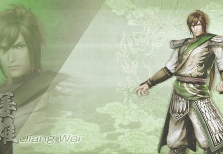 Jiang Wei - male, warrior, green background, dynasty warriors, jiang wei, games, video games, armour