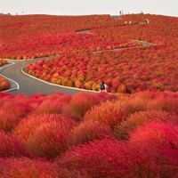 seaside Park - Japan