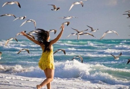 life is enjoy - feeling, freedom, beautiful, sea, birds