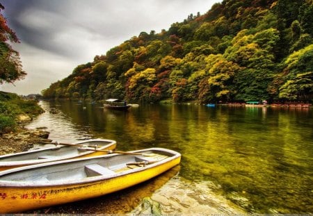 The River - forest, hill, water, landscape, trees, boats