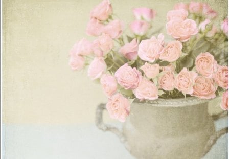 Pink Roses - roses, flowers, pink, still life