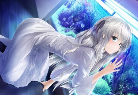 Kasunago Sara - beauty, sora, girl, yosuga, vn, game, wall, anime, new