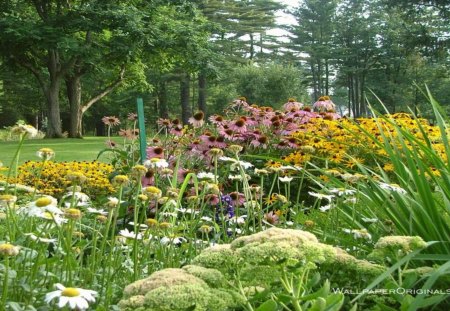 summer garden - nature, flowers, grass, trees