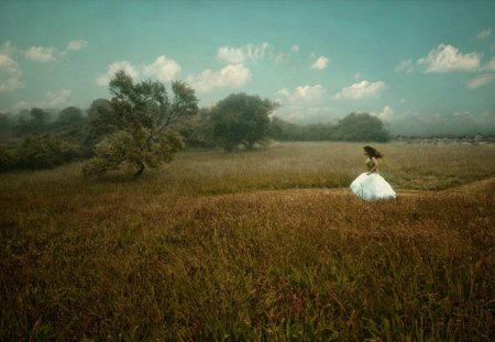 Running to you - love, sky, running to you, girl, feeling, emotional, field, waiting, emotions, clouds, tree, miss you, grass, dress