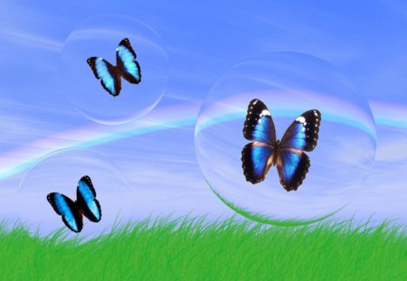 Butterflies in a sky with rainbow - rainbow, sky, bluw, butterflies