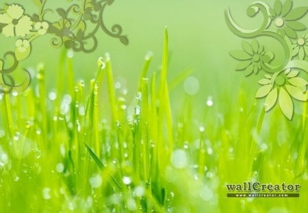 Green, Green Grass - ground, flowers, grass, green