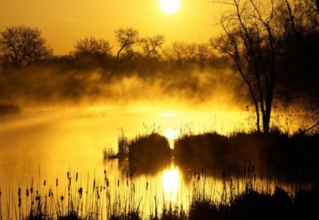 Amazing Sunset - water, nice, amazing, sunset