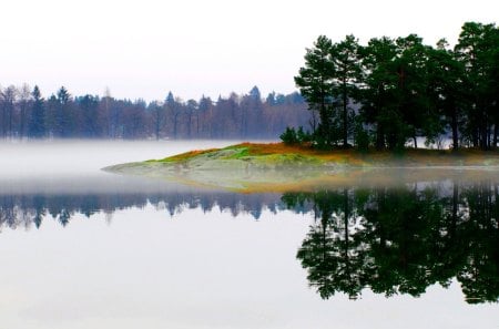 LAKE in FOG - reflections, lake, trees, fog