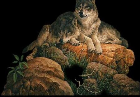 Wolves_on_the_Rocks - leaves, rock, wolf, grass