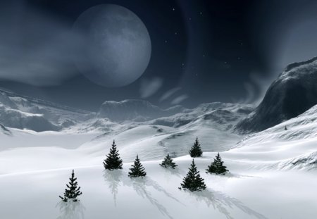 Snowy Spruces - abstract, moon, snow, night, shadow, dark, cg, white, aequus, spruce, mihi, field, 3d