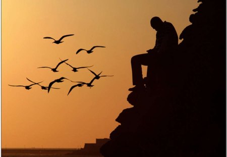 Lonely Man - sunset, maditation, gulls, loneliness, cliff, sea, sorrow, man