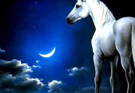 unicorn in the moon!! - moon, unicorn, sky