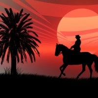 Wild Horse Silhouette in a Red Sunset