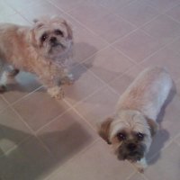 Tedisoo and Samantha