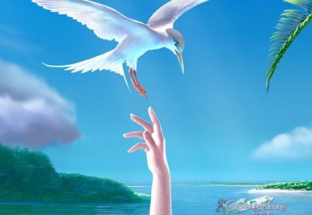 White Bird  - art, 3d