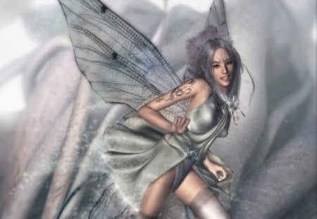 Silver Fairy  - fairy, silver