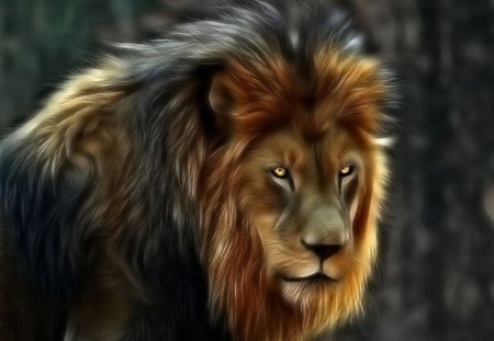 Best Of Wallpaper Lion King Of The Jungle Wallpaper