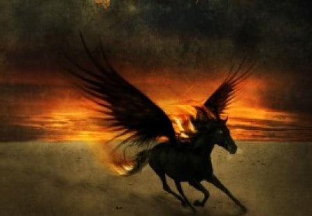 the pegasus of apocalypse - abstract, fantsy