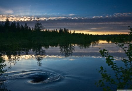 Forest Swirl - clouds, trees, water, yellow, blue, bushes, swirl, night, forest, sunset, nature, lake, day, sky