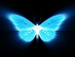 BLUE_NEON_BUTTERFLY