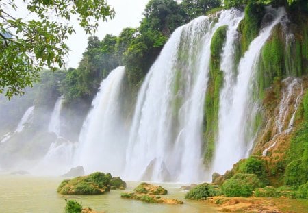 beautiful powerful waterfall - pool, trees, waterfall, rocks