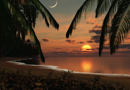 absulutely wonderful scene - beach, moon, palms, sunset