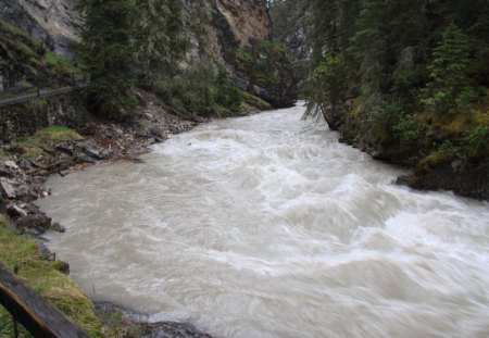 Rapid River Johnston Canyon Banff Alberta 5 - trees, guard rail, green, Rivers, Photography