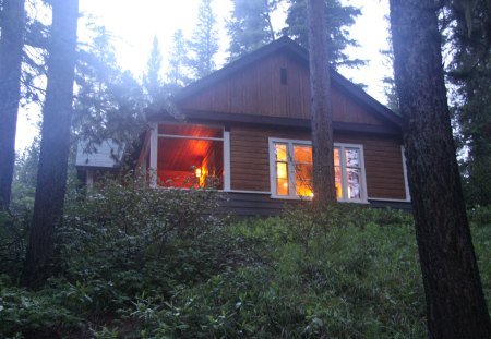 Cottage at Johnston Canyon Banff Alberta - cottage, trees, forests, photography, light, green