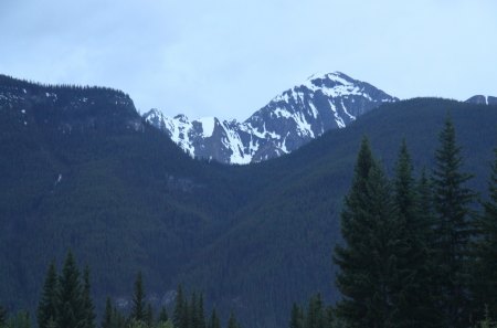 Summit Banff mountains in Alberta - trees, snow, photography, summit, mountains