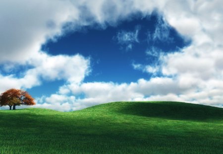 Lazy Day - tree, blue sky, hills, grass